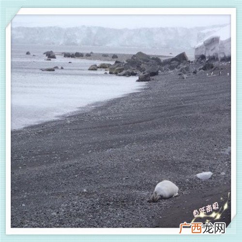 不用登录也能看黄台的app 男孩子夜里需要的软件