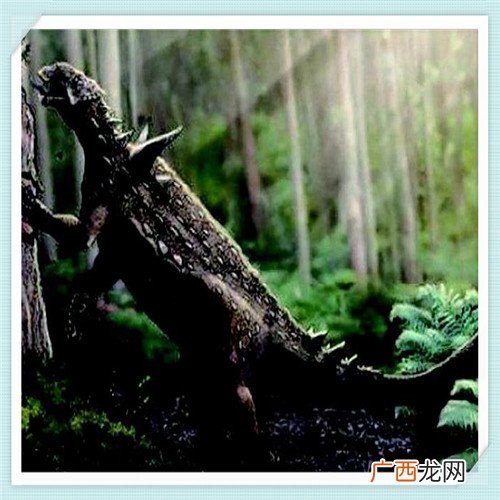 组织效率提升 组织效能