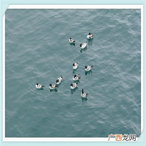 每周工作总结应该怎么写 50字简短个人工作总结
