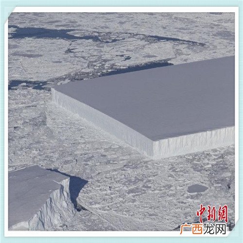 礼让行人怎么申诉 不礼让行人 申诉成功