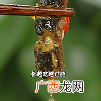 湘菜经典紫苏炒鳝鱼，香辣酥脆，下酒又下饭！