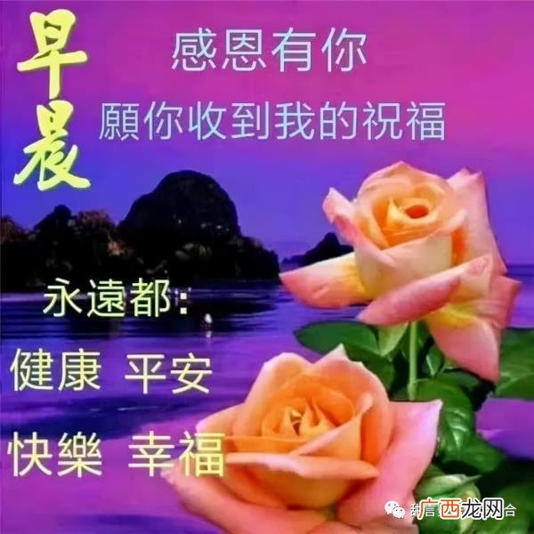 超甜的早安情话，心心念念的早安情话短信