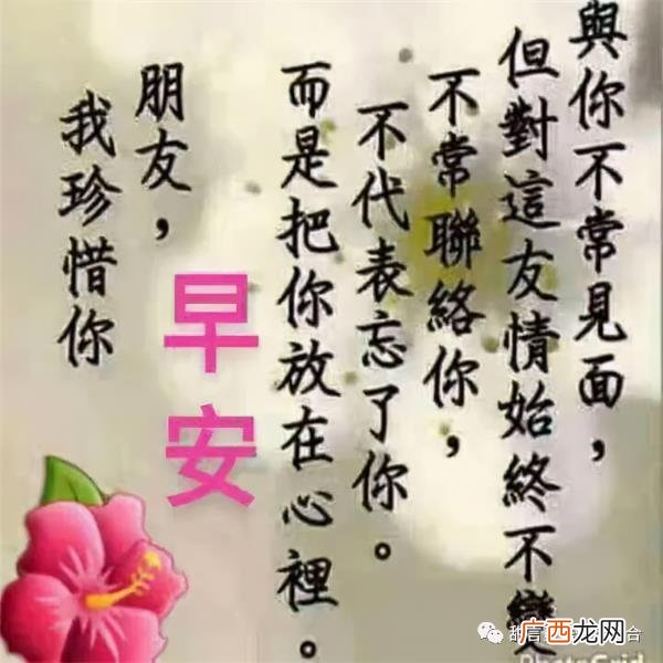 超甜的早安情话，心心念念的早安情话短信