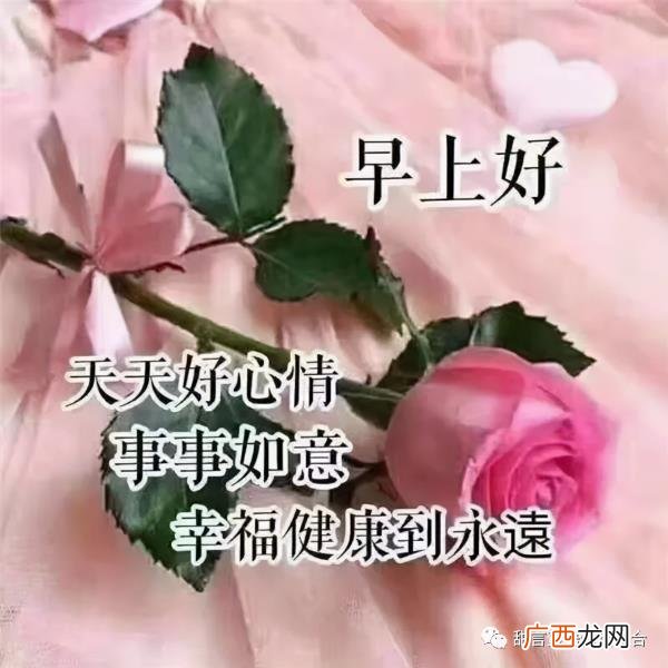 超甜的早安情话，心心念念的早安情话短信