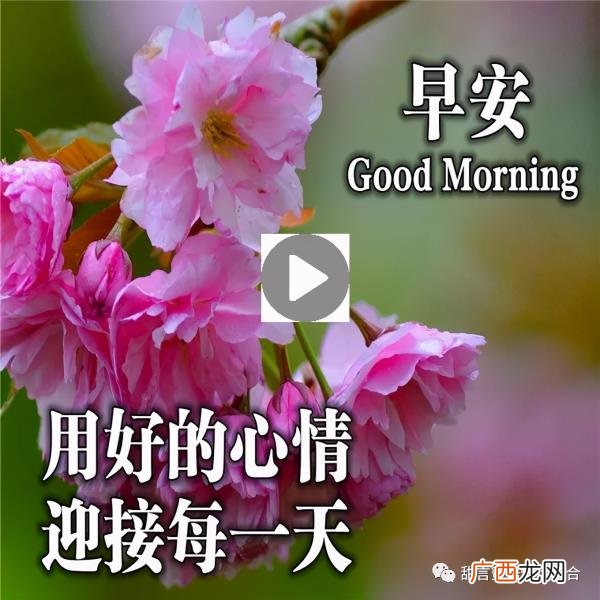 超甜的早安情话，心心念念的早安情话短信