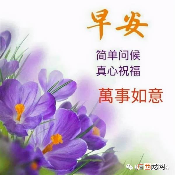 超甜的早安情话，心心念念的早安情话短信