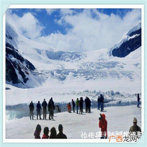 如何取公司名称 公司名称地址详细电话