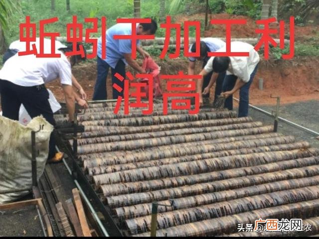 自己在家创业项目,创业新项目在家加工