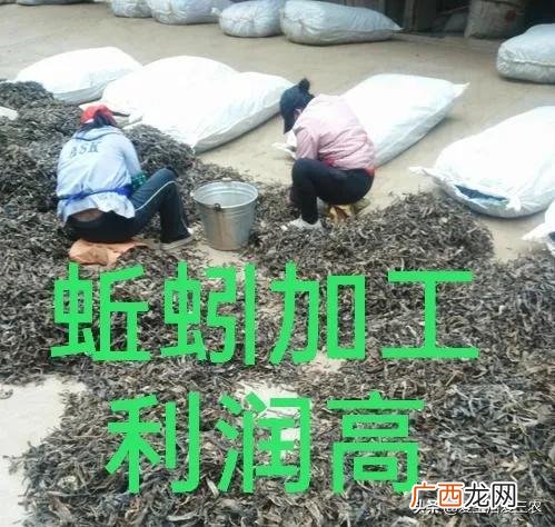 自己在家创业项目,创业新项目在家加工