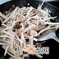 酱香茶树菇