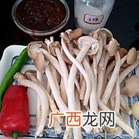 酱香茶树菇