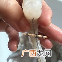 附漂洗和上浆窍门 江浙菜-水晶虾仁