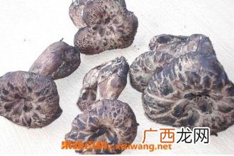 虎掌菌的营养价值与功效 虎掌菌能防癌抗癌