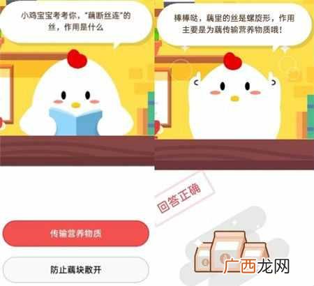 藕断丝连的丝作用是什么?蚂蚁庄园7月17日答案