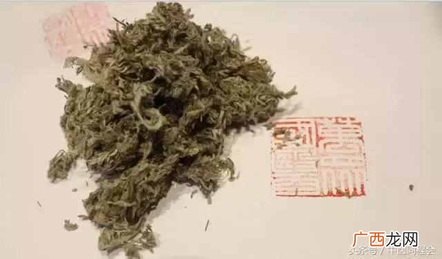 三月养肝，茵陈主之 茵陈茶
