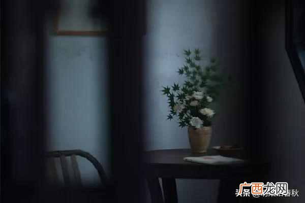 物以类聚人以群分什么意思（物以类聚，人以群