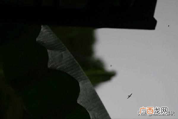物以类聚人以群分什么意思（物以类聚，人以群