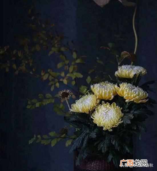 物以类聚人以群分什么意思（物以类聚，人以群