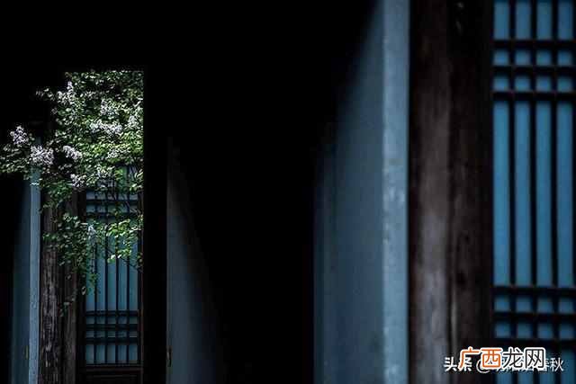 物以类聚人以群分什么意思（物以类聚，人以群