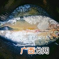 快手鲜美鲅鱼的家常做法