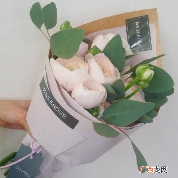 给老婆空间留言的情话,说给老婆听的告白情话