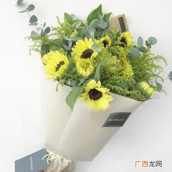 给老婆空间留言的情话,说给老婆听的告白情话