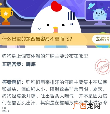 狗狗身上调节体温的汗腺主要分布在哪里？舌头还是脚底 蚂蚁庄园7.2