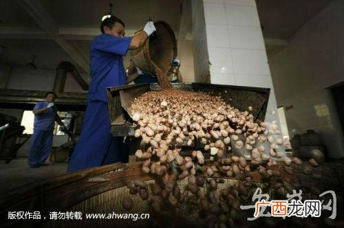 合肥小零食批发市场,合肥零食厂家货源直供