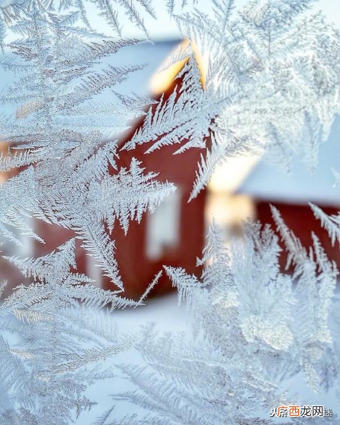 关于下雪的唯美句子 描写雪花的优美句子