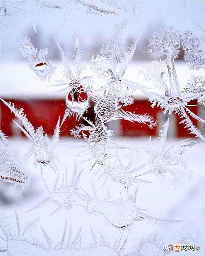 关于下雪的唯美句子 描写雪花的优美句子