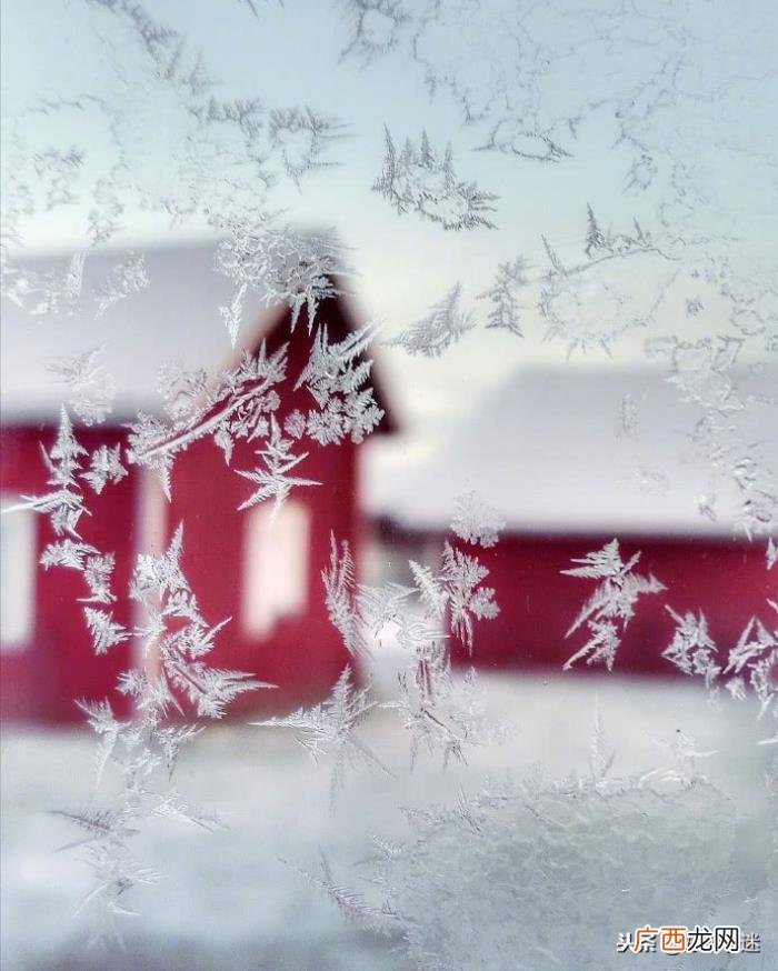 关于下雪的唯美句子 描写雪花的优美句子