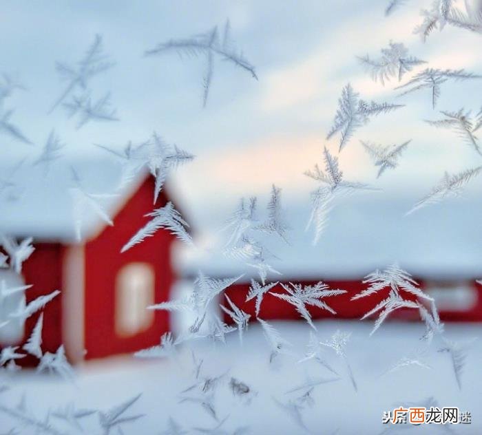关于下雪的唯美句子 描写雪花的优美句子