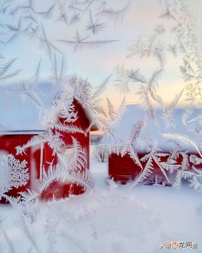 关于下雪的唯美句子 描写雪花的优美句子