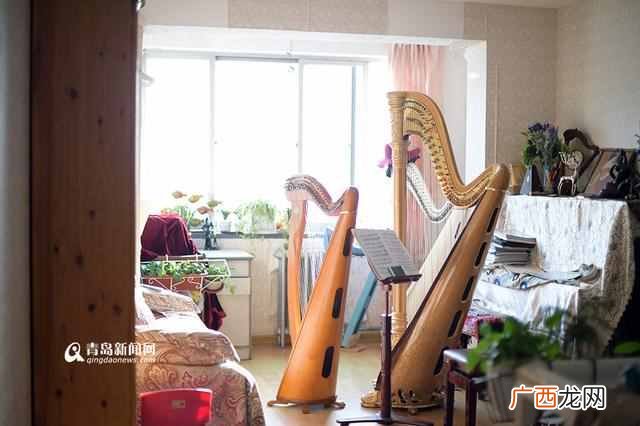 90后竖琴女孩 竖琴价格