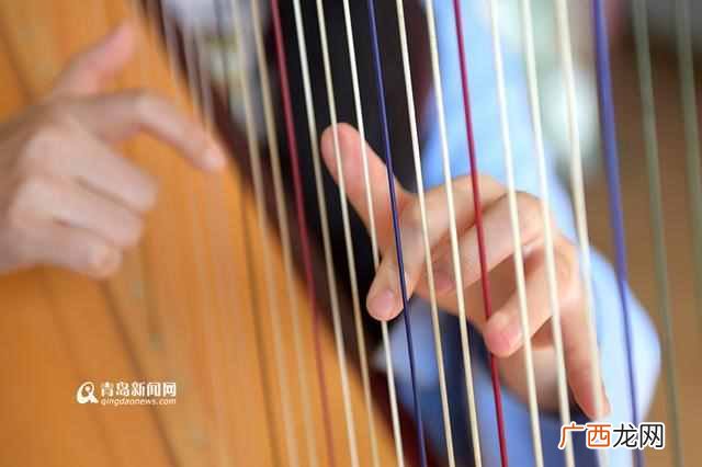 90后竖琴女孩 竖琴价格