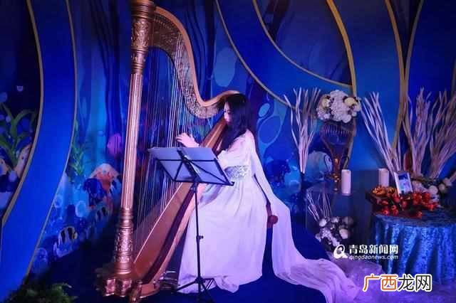 90后竖琴女孩 竖琴价格