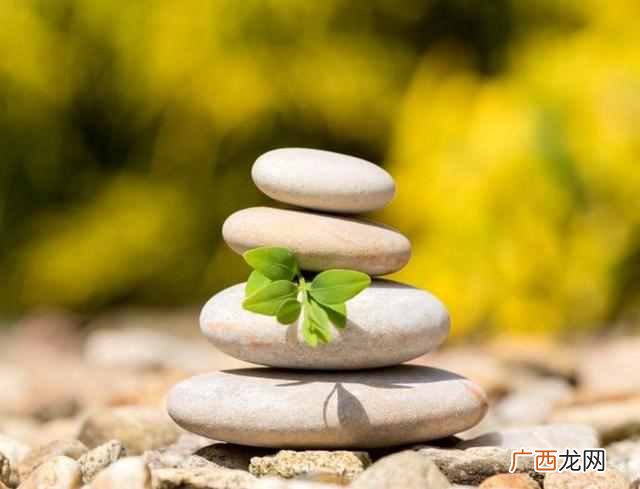 真正懂得韬光养晦的人 韬光养晦的意思