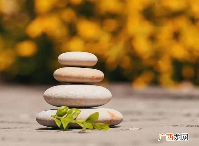 真正懂得韬光养晦的人 韬光养晦的意思