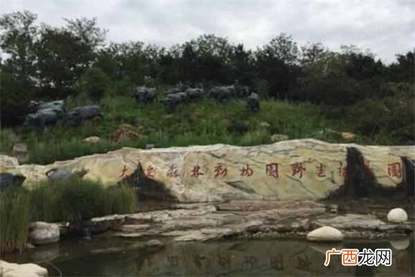 大连有什么好玩的（大连十大最好玩的旅游景点