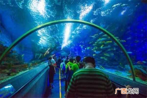 大连有什么好玩的（大连十大最好玩的旅游景点