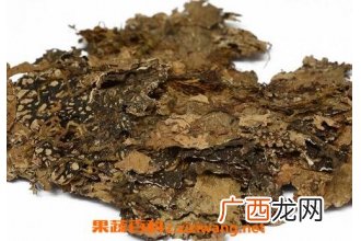 中药老龙皮的功效与作用 老龙皮的药用价值