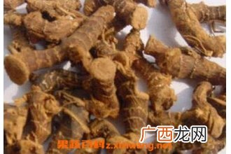 竹黄的功效与作用 竹黄的药用价值