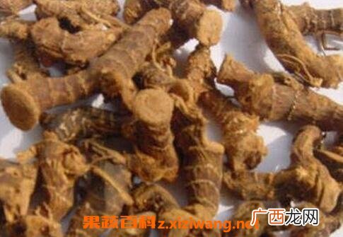 竹黄的功效与作用 竹黄的药用价值
