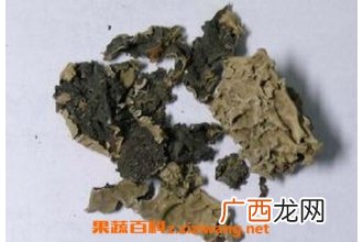 中药石花的功效与作用