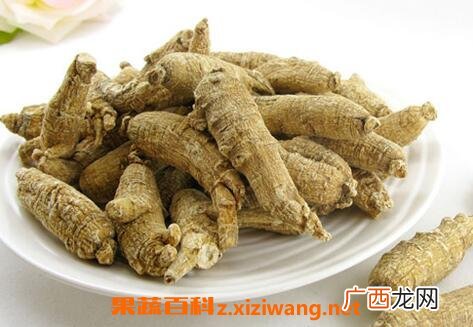 食用花旗参的好处有哪些