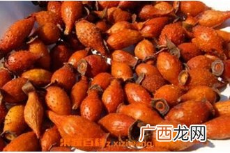 金樱子泡酒的功效与作用