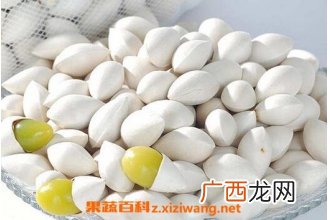 白果的神奇功效 白果的应用