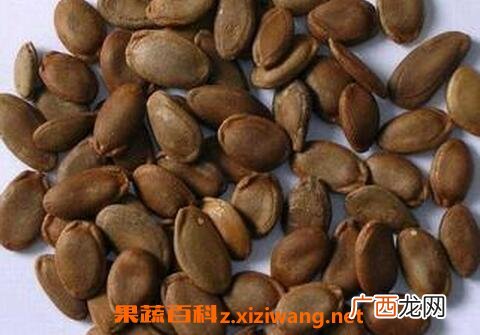 瓜萎仁的功效与作用 吃瓜萎仁的好处