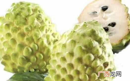 刺果番荔枝哪里有卖 刺果番荔枝