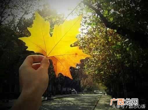不成功便成仁是什么意思（人生，不成功，便成
